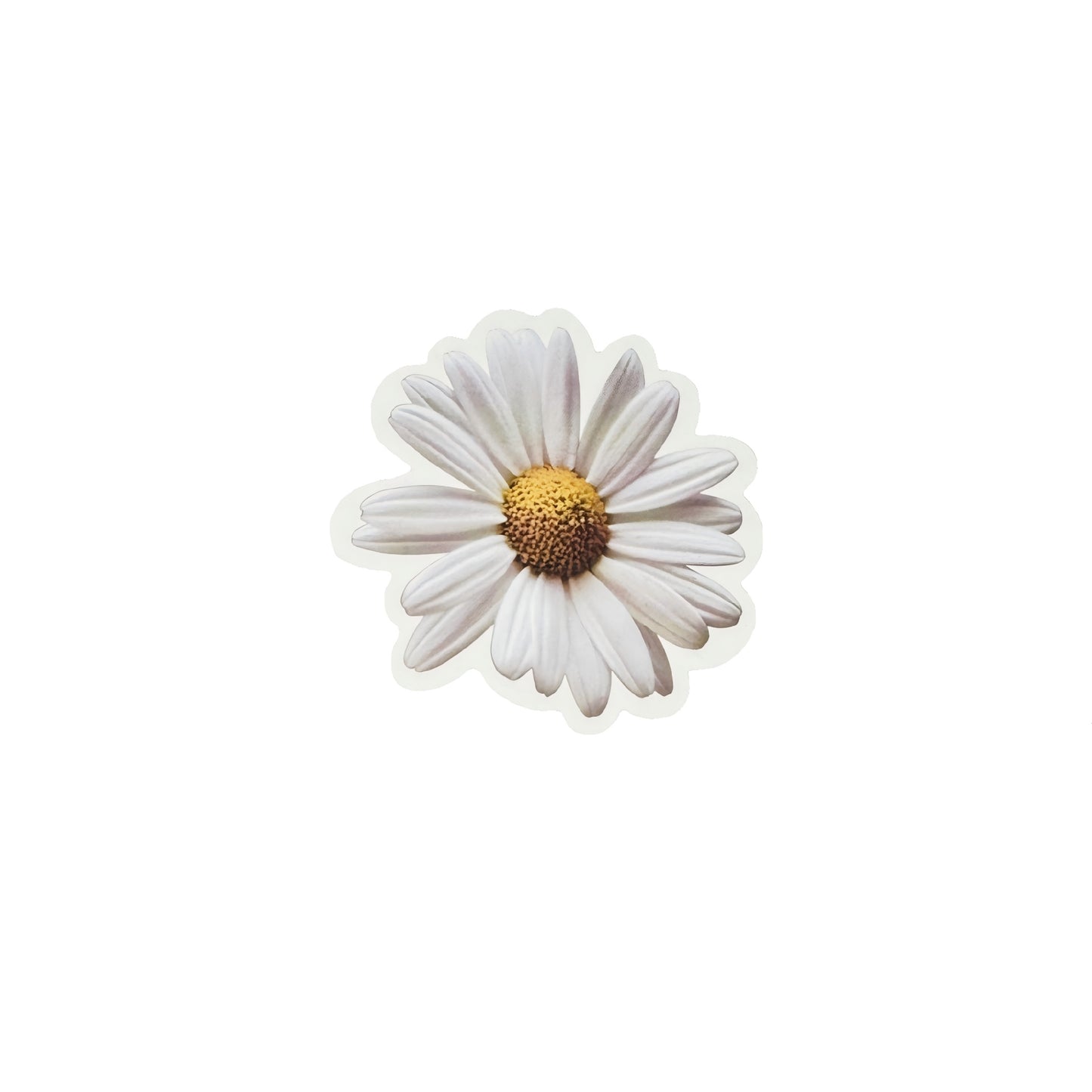 Daisy 24 Pcs Floral Aesthetic Die-Cut Stickers Set Ephemera Pack - 24 PCS
