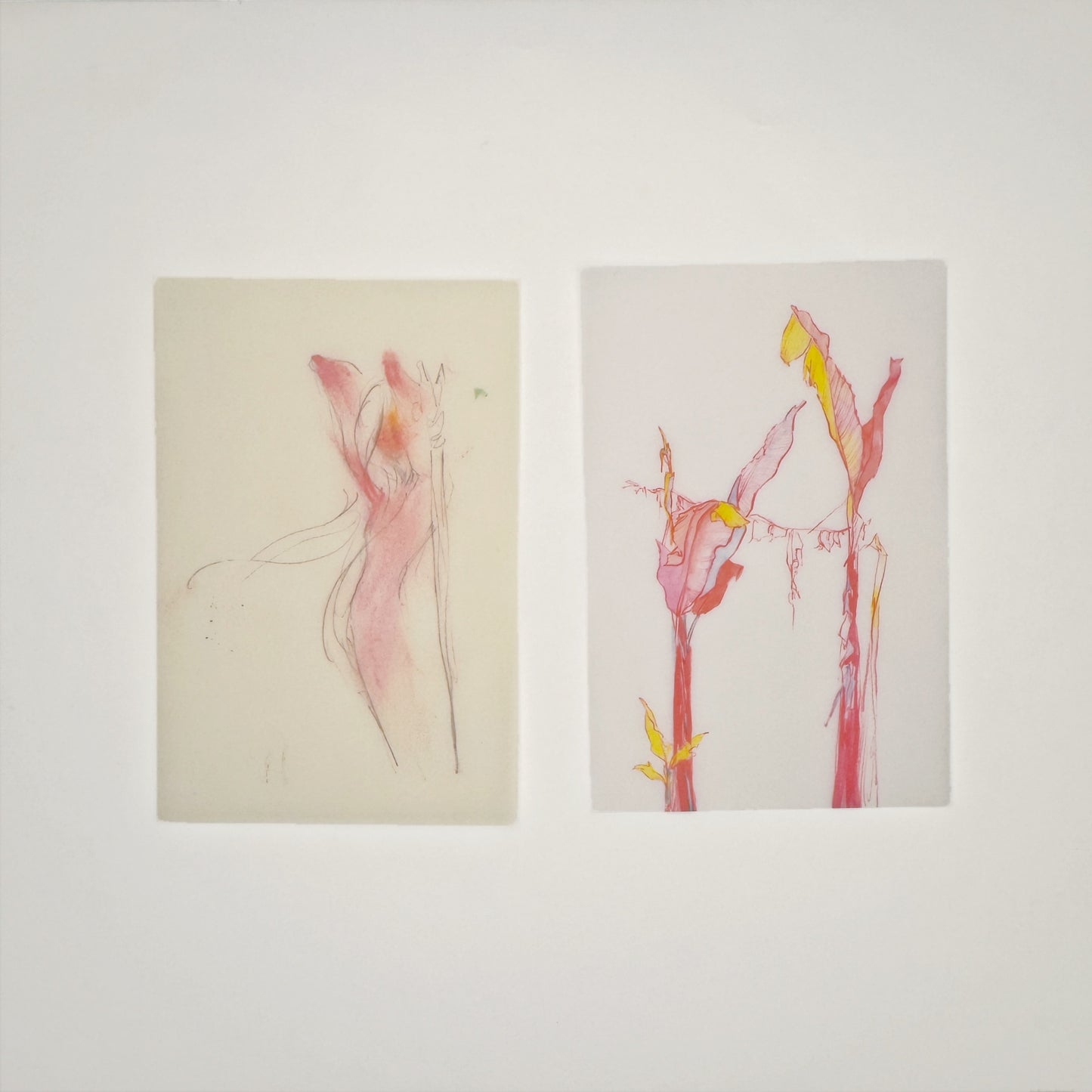 Falling Petals & Fading Rouge - Premium Vellum Stationery Set - 5 PCS
