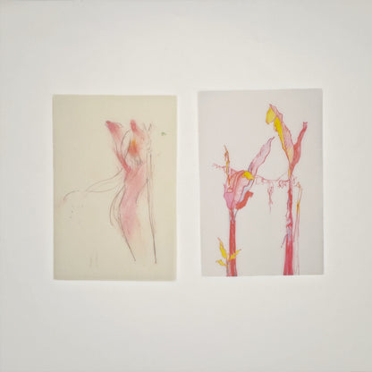 Falling Petals & Fading Rouge - Premium Vellum Stationery Set - 5 PCS