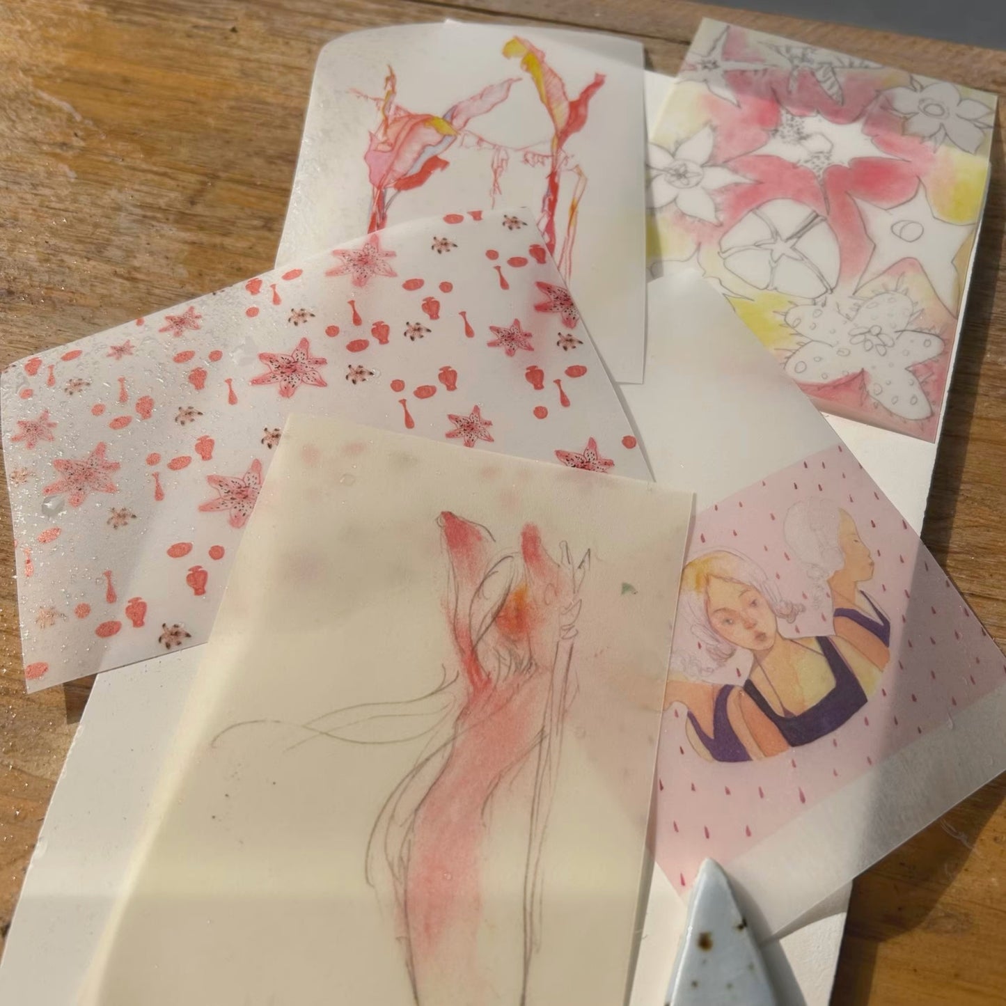 Falling Petals & Fading Rouge - Premium Vellum Stationery Set - 5 PCS