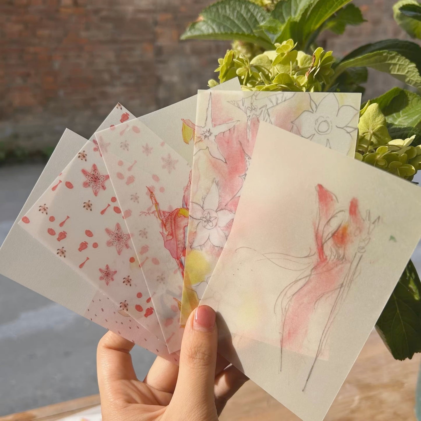 Falling Petals & Fading Rouge - Premium Vellum Stationery Set - 5 PCS